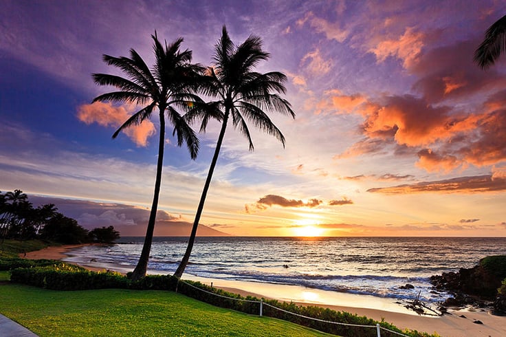 BEACH SUNSET PALM TREES web